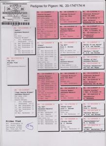 NL 1747174 -20 F