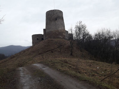 Cetatea Bologa