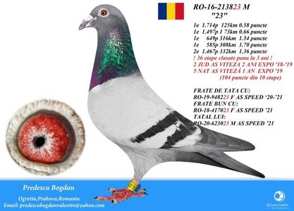 RO-16-213823 M - 23; 4 locuri 1! Tata și frate de ași!
