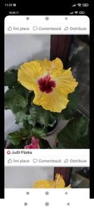 Screenshot_2021-10-22-11-29-41-324_com.facebook.orca