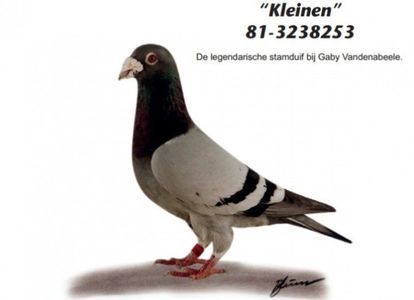 KLEINEN