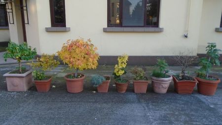 Forme si culori la sfarsitul lunii octombrie