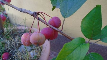 Forme si culori la sfarsitul lunii octombrie