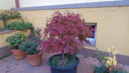 Forme si culori la sfarsitul lunii octombrie