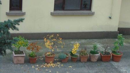 Forme si culori la sfarsitul lunii octombrie