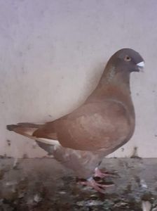 received_348763377051738