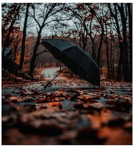 ♡ November 10 » „Have I told you lately that I love you? Have I told you there s no one; else above you?” ║ https://www.youtube.com/watch?v=HZxzZFddmTg
