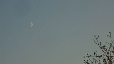 Luna in crestere in Varsator; 10 nov. 2021
