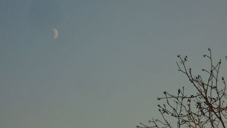 Luna in crestere in Varsator; 10 nov. 2021
