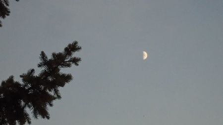 Primul patrar al Lunii in Varsator; 11 nov. 2021
