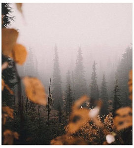 ♡ November 16 » „Dancing on the edge, bout to take it too far.. It s messing with my head; how I mess with your heart.” ║ https://www.youtube.com/watch?v=hmUyEDG7Jy0
