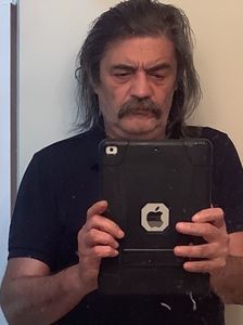 Ion dragos sireteanu