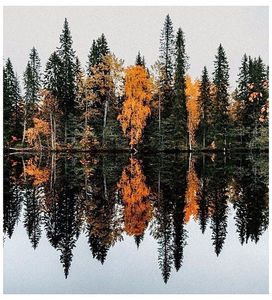 ♡ November 19 » „I m dying to catch my breath, oh why don t I ever learn? I ve lost all; my trust, though I ve surely tried to turn it around.” ║https://www.youtube.com/watch?v=-jl-NucYKfE
