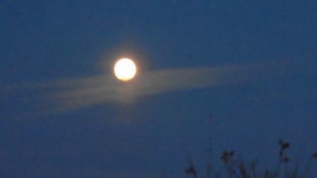 Rasarit de luna plina in Taur; 19 nov. 2021 - Full Beaver moon
