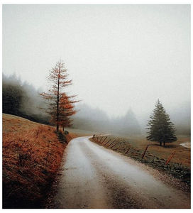 ♡ November 23 » „And your heart s against my chest, your lips pressed to my neck. I m falling; for your eyes, but they don t know me yet.” ║ https://www.youtube.com/watch?v=3IUfGfOK3z0
