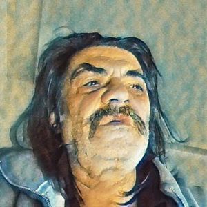 Ion dragos sireteanu