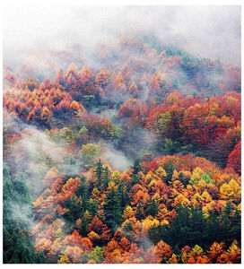 ♡ November 28 » „I m out on the edge and I m screaming my name, like a fool at the top; of my lungs.” ║ https://www.youtube.com/watch?v=Vq40QlNZJ3E
