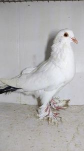 F 2021