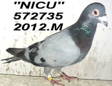 2012-0572735=M-   ''NIC+'' - Copy