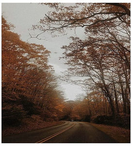 ♡ November 30 » „Oh, should my people fall, then surely I ll do the same. Confined in mountain; halls, we got too close to the flame.” ║ https://www.youtube.com/watch?v=dKzxL64ybk8
