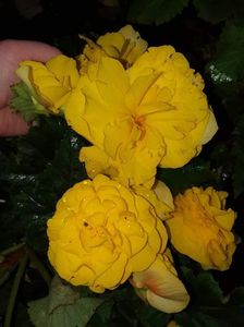 received_2706321503010449
