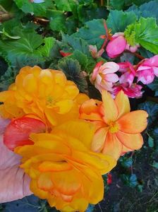 received_1042248256341820