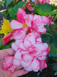 received_1139624150197117