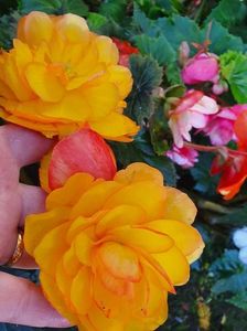 received_602293817719688