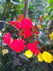 received_442041737567112