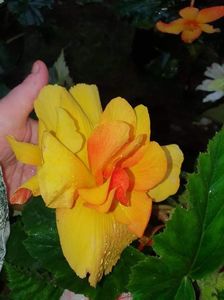 received_647459572924065