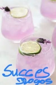 Gin tonic; Secretul e un grepfruit roz. Gin si tonic
