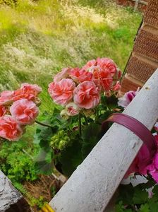 received_940891766833095