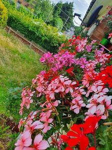 received_956486981888196