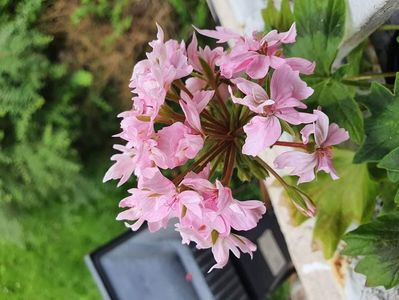 received_880754382523321