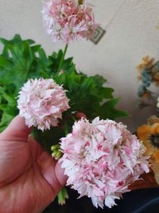 received_649365019564638