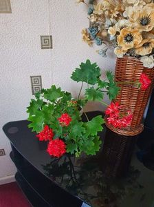 received_611082063549395