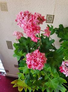 received_1048372412373339