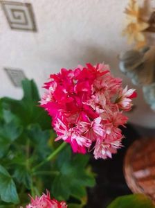 received_2551994508278380