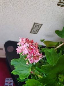 received_720565605587888