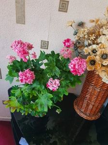 received_636901501076157