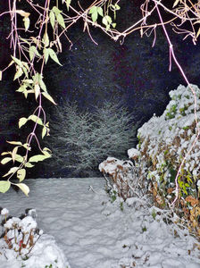 Ninge abundent, zi si noapte!; P3180609
