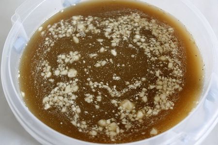 Menta 10.12.21; Cand s-a racit infuzia, adaug zaharul, smantana si acopar cu prosop.
