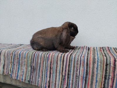 La 4 luni si 1 săptămână-4,7 kg