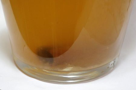 Tei 13.12.21; Au aparut depuneri
