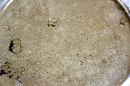 Menta 14.12.21; Fara scortisoara sau acid citric este mai predispusa la mucegai- scot spuma, pe masura ce se formeaza.
