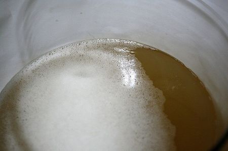 Tei 15.12.21; 14.12.21 s-a acrit- am filtrat si amestecat cu drojdie activata in apa calda cu zahar si l-am lasat peste nopate.
15.12.21 este gata.
