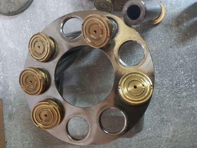 Set pistoane , placa forata , placa susținere pistoane; R902601821 / R902600002 / R909084416 / R902601923 / R913047985 / R902066601 / R909417959 / R909921706 / R909449034 / R902056896 / R902105941 / R902195227 / 

R902272278/ R902079162 / R902105528 / R902
