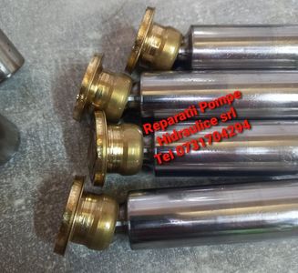 Piston Bosch Rexroth; R902601821 / R902600002 / R909084416 / R902601923 / R913047985 / R902066601 / R909417959 / R909921706 / R909449034 / R902056896 / R902105941 / R902195227 / 

R902272278/ R902079162 / R902105528 / R902
