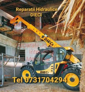 REVIZIE DIECI 