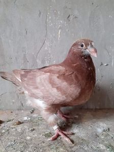 received_649238959421059